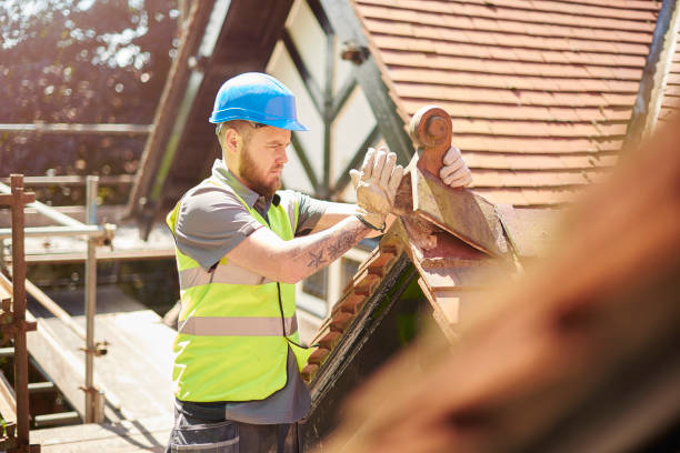 Best Roof Gutter Cleaning  in Lake Wynonah, PA