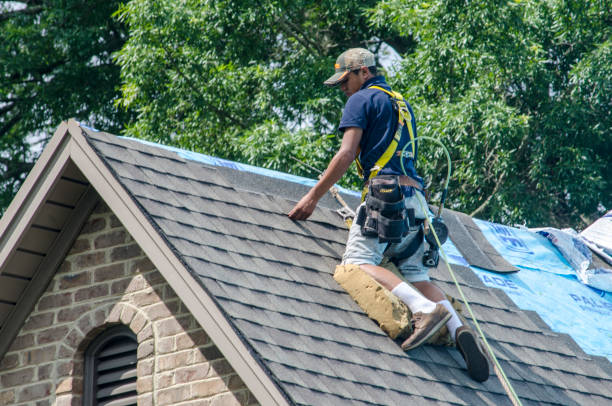Best Roof Gutter Cleaning  in Lake Wynonah, PA